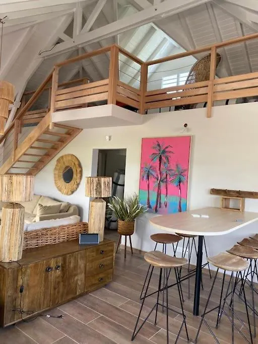 Grandes Villas Luxueuses 4 Etoiles Face A La Reserve Cousteau & Ses Tortues Bouillante