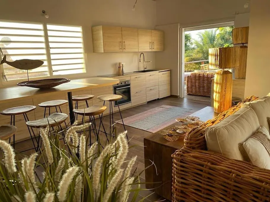 Grandes Villas Luxueuses 4 Etoiles Face A La Reserve Cousteau & Ses Tortues Bouillante