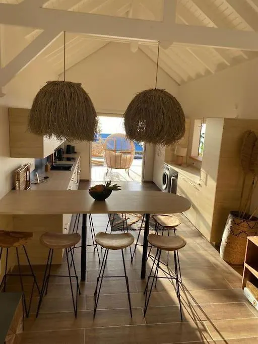 Grandes Villas Luxueuses 4 Etoiles Face A La Reserve Cousteau & Ses Tortues Bouillante