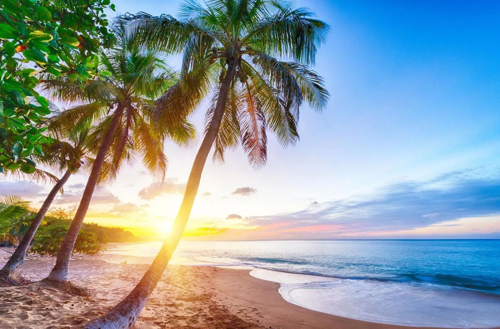 Grandes Villas Luxueuses 4 Etoiles Face A La Reserve Cousteau & Ses Tortues Bouillante 0*,  Guadeloupe
